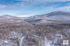 DJI_0273-HDR